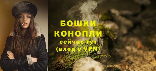 прущие грибы Вязники