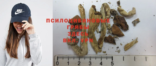 a pvp Вязьма