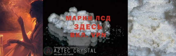 прущие грибы Вязники