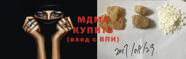 прущие грибы Вязники