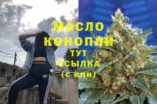 прущие грибы Вязники
