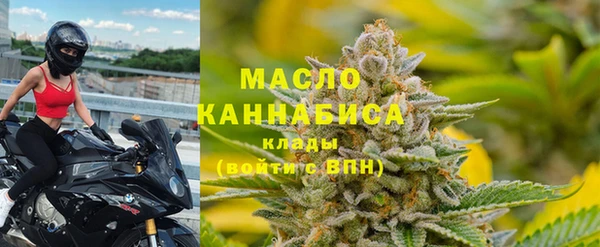 прущие грибы Вязники