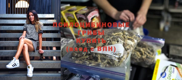 стафф Верея