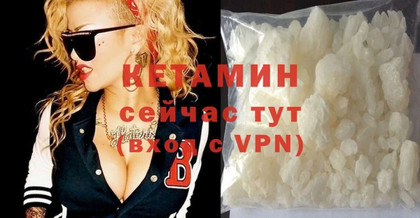 прущие грибы Вязники