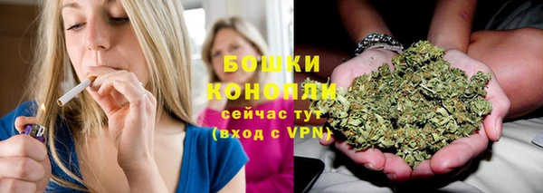 прущие грибы Вязники