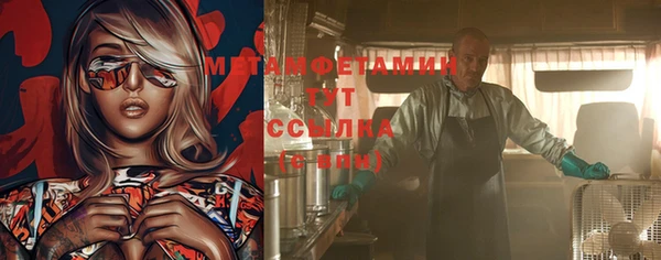 индика Бронницы