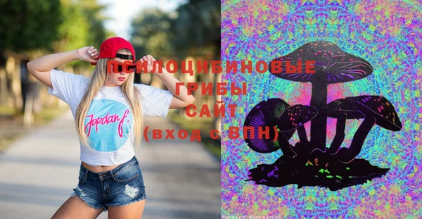 стафф Верея